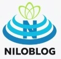 دیوارسوییت اتاق شیراز مسافر خانه . مهمان